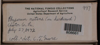 Image Associated With the Occurence